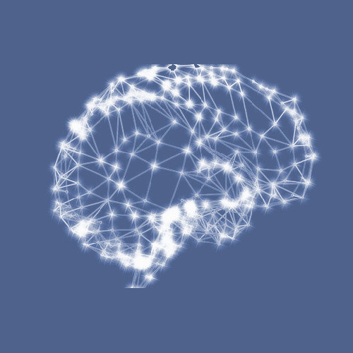 Formations SNCLF Neurophysiologie